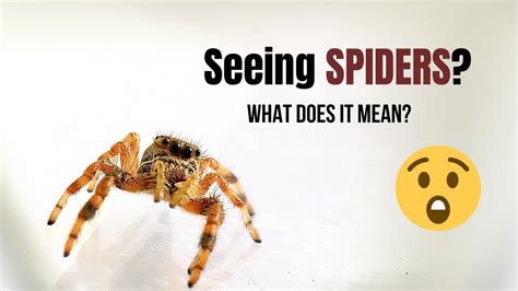 🕸🕸why Are You Seeing Spiders 🕷🕷 The Spiritual Meaning Of Spiders Youtube