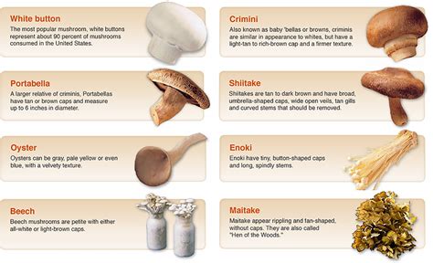 Mushrooms Food Source Information