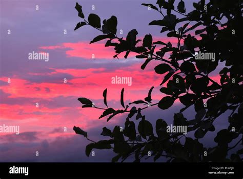 Pink Sky At Night Stock Photo Alamy