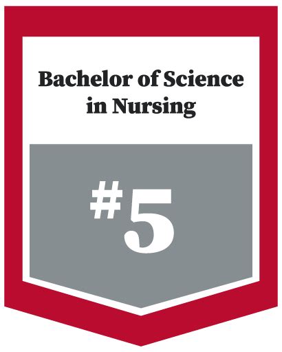 Bachelor Of Science In Nursing The Ohio State University College Of