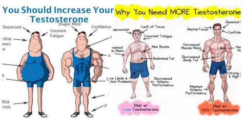 Body Hacks To Naturally Increase Testosterone Levels