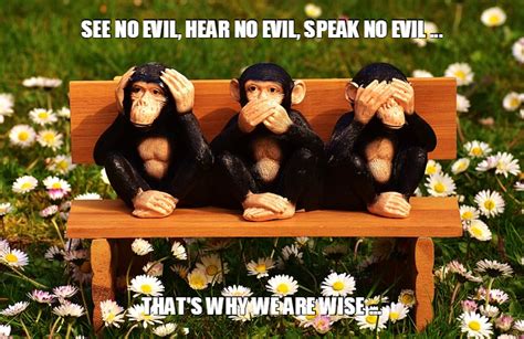 Kikazaru, who hears no evil, covering his ears and. The Three Wise Monkeys - Virily