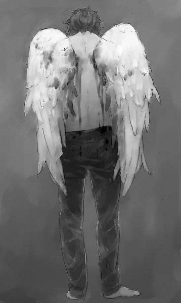 Anime Boy With White Wings Fallen Angel Angel Anime Angel