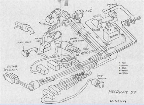 Kazuma Meerkat 50cc Atv Wiring Diagram