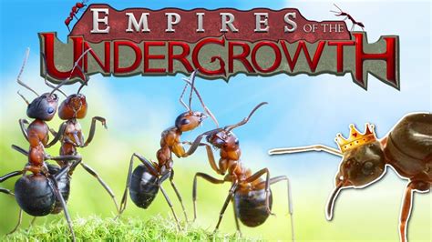 Building An Ant Colony Empires Of The Undergrowth Gameplay Ant