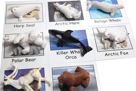 Montessori Arctic Polar Animal Match Miniature Arctic Animal Toy
