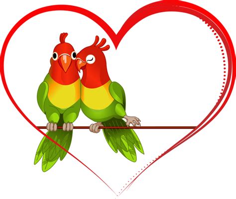Love Birds Png All Png All