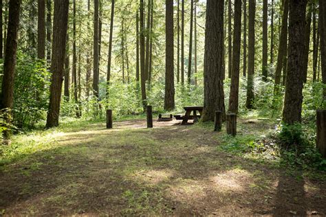 Sharps Creek Recreation Area Campground Outdoor Project