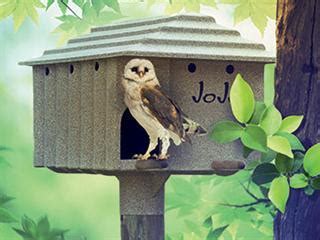 A lot of birds of prey including owls use open fields to hunt for prey. The ready-to-occupy barn owl house | Farmer's Weekly