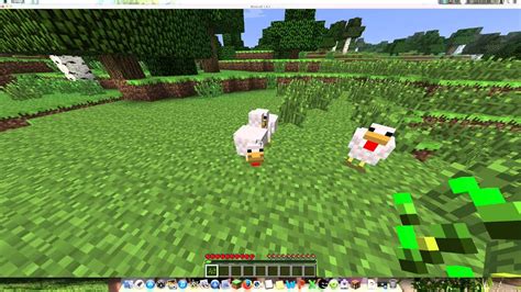 How To Tame Chickens In Minecraft Youtube