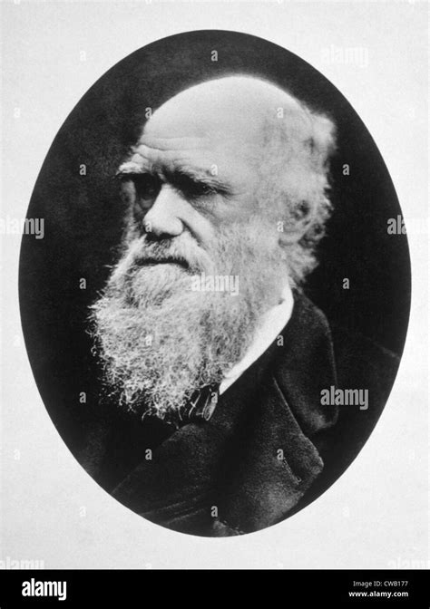 Charles Darwin 1809 1882 Photo Ca 1880 Stock Photo Alamy