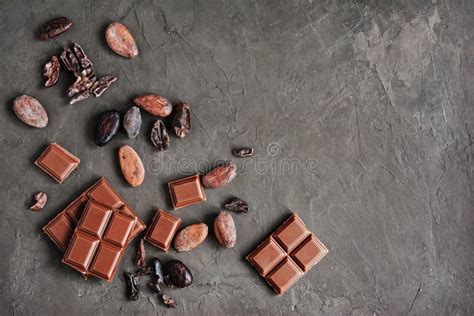 pieces of chocolate bar and cocoa beans stock image image of organic chocolate 78717251