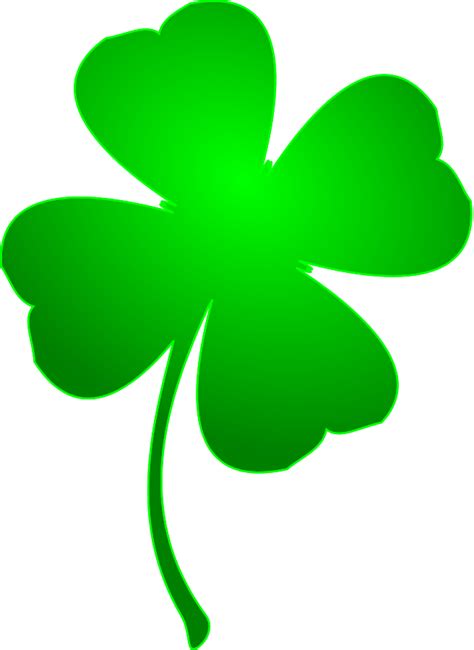 Four Leaf Clover Image