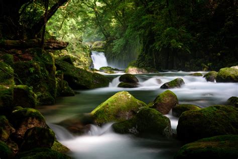 Kumamoto Greenery And Limpid Water Offbeat Japan