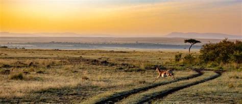 Winter In Africa Guide Essential Travel Facts From North To South
