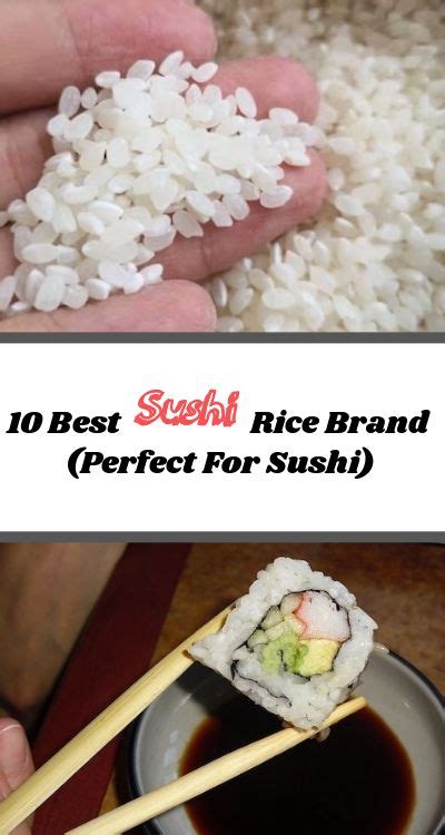 Which is the best type of rice in japan? 10 Best Sushi Rice Brand (Perfect For Sushi) | Sushi rice ...