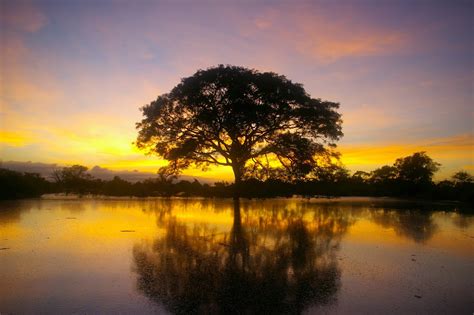 Paisagens Do Meio Ambiente