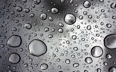 Wet Glass Water On Glass Monochrome Water Drops Hd Wallpaper Wallpaper Flare