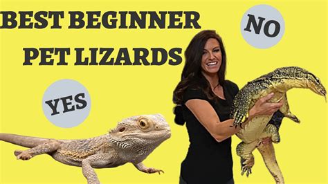 They eat leaves, fruits, and flowers, and so they make great . WHAT IS THE BEST BEGINNER PET LIZARD? Best Beginner ...