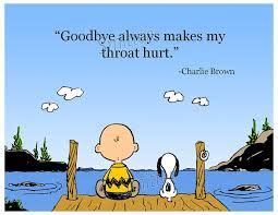 I don't want to say goodbyes because there's nothing good in it. Goodbye Quotes | Farewell Quotes