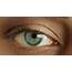 Close Up Macro Blue Eye Stock Footage Video 100% Royalty Free 
