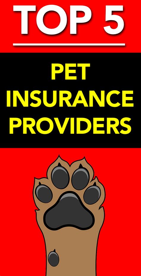 It helps cover hospital costs if accidents happen. Top 5 Pet Insurance Providers | Dog insurance, Best pet ...