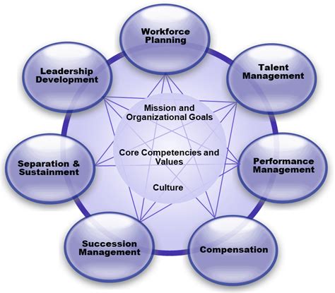 Talent Management Talent Management And Succession Planning Executive