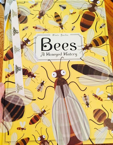 Bee Books For Kindergarten