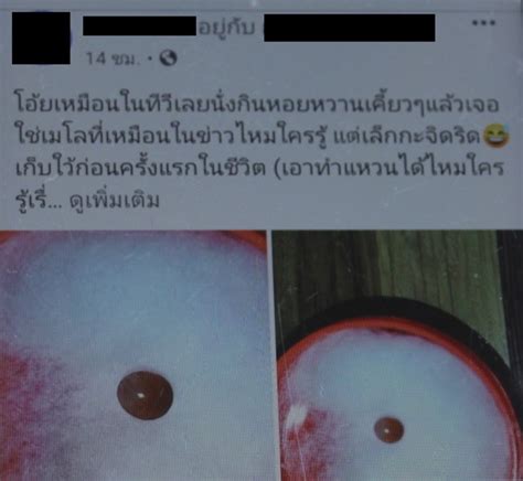 จากกรณี มุกสีส้ม หรือ มุกเมโล อัญมณีล้ำค่าแห่งท้องทะเลอ่าวไทย ที่ถูกนายหัสชัย นิยมเดชา อายุ 37 ปี อยู่บ้านเลขที่ 46 หมู่ 6. ฮือฮา ส.ต.ท.ซื้อหอยหวานย่างกินกับภรรยา เจอวัตถุคล้าย ...