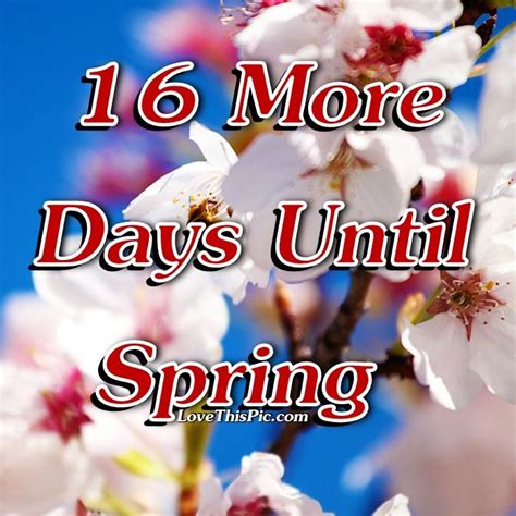 16 More Days Until Spring Pictures Photos And Images For Facebook