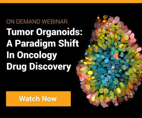 On Demand Webinar Tumor Organoids A Paradigm Shift In Oncology Drug
