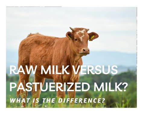 Raw Unpasteurized Milk Vs Pasteurized Milk Cultivate Elevate