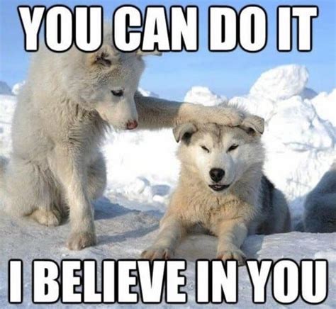 20 Encouragement Memes To Lift Your Spirits