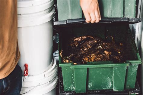 Composting At Home Is Easy This Is Everything You Need To Know Lagom