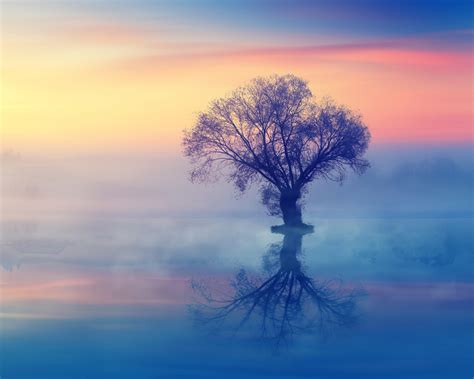 1280x1024 Resolution The Lonely Tree 1280x1024 Resolution Wallpaper