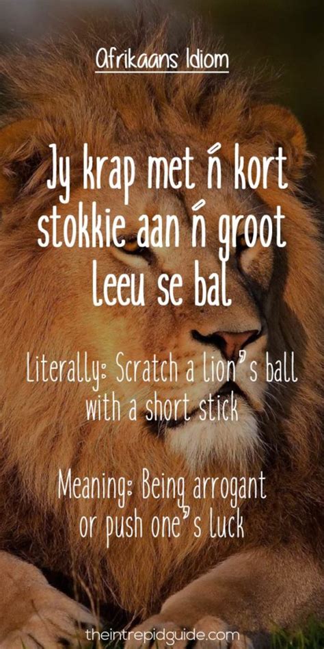 25 Hilarious Afrikaans Idioms That Should Exist In English The