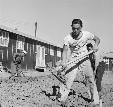 Internment And Heroism Images Of Japanese Americans During World War