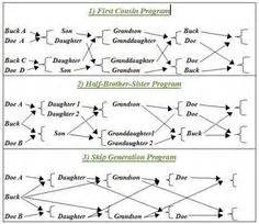 These canning chicken directions work for canning chicken, rabbit, duck, goose, turkey, or wild game birds too. A chart to explain line breeding of chickens and poultry ...