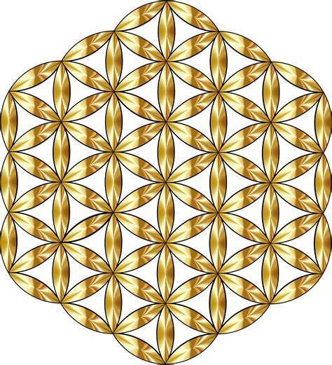 Sacred Geometry Flower Of Life Png