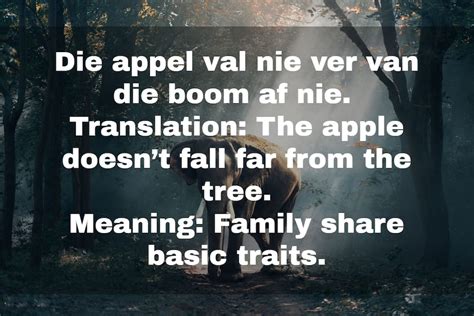 35 Best Afrikaans Idioms And Proverbs With English Meanings Za