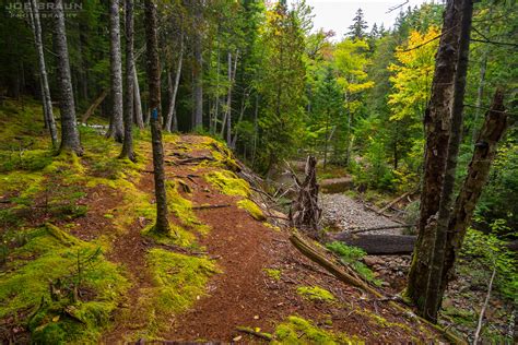Joes Guide To Acadia National Park Hunters Brook Trail Hiking Guide