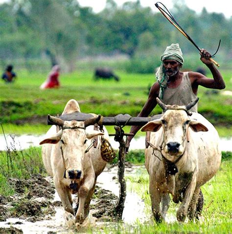🇮🇳 wazirx me account kaise banaye | wazirx account verification | how to create wazirx account | wazirx. Well-being of farmers a priority for govt: Modi - Rediff ...