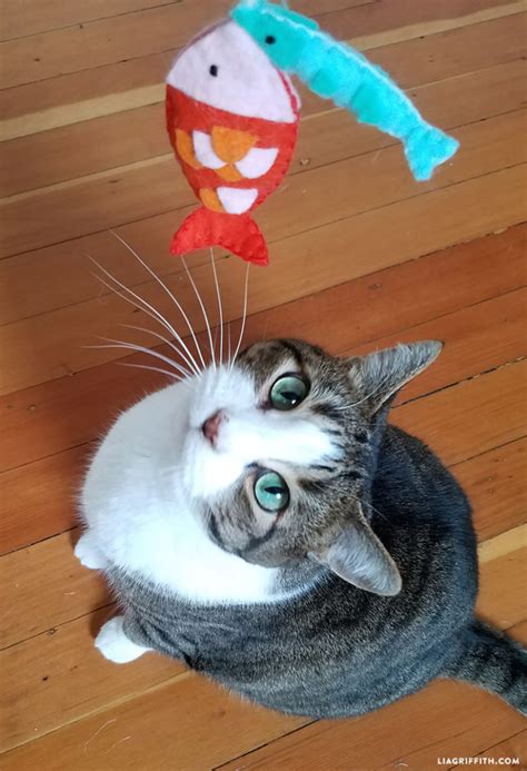 Make A Diy Fishing Pole Cat Toy In 8 Easy Steps