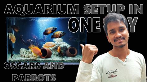 Cichlid Aquarium Tank Setup How To Build A Coral Tank Parrots And