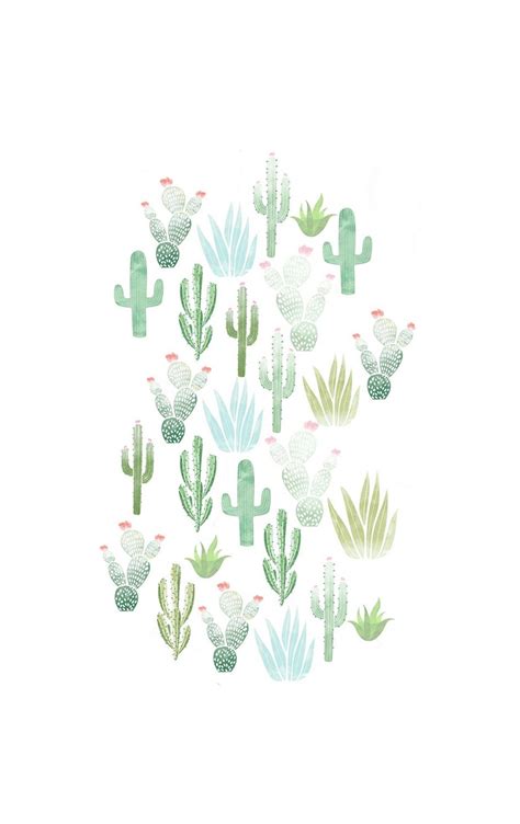 Cute Cactus Wallpapers Photos