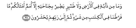 Dengan nama allah, yang maha pemurah, lagi maha mengasihani. Surah Al-An'am - Verse 38