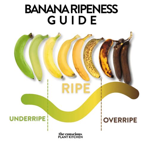 15 Healthy Vegan Ripe Banana Recipes The Conscious Plant Kitchen