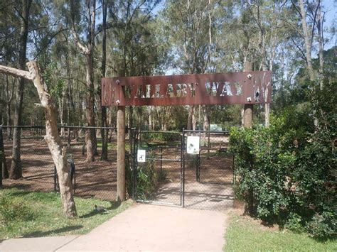 David Fleay Wildlife Park Admission Prices Gold Coast