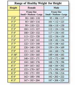 67 Frame Size Height Weight Chart Framesize