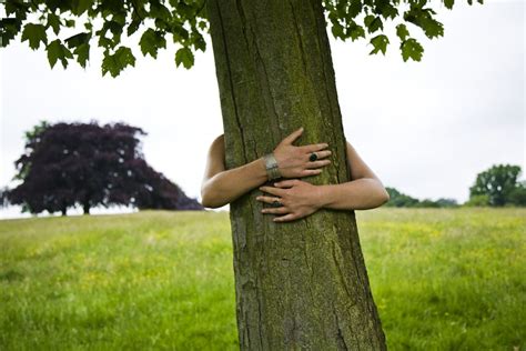 How To Hug A Tree A Tree In 10 Easy Steps